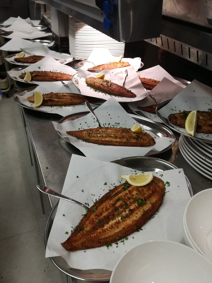 Vis lunchen in Rotterdam